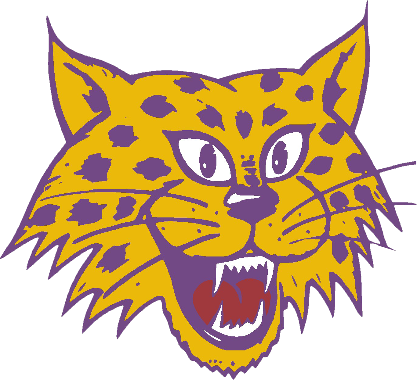Western Carolina Catamounts 1975-1981 Primary Logo diy iron on heat transfer